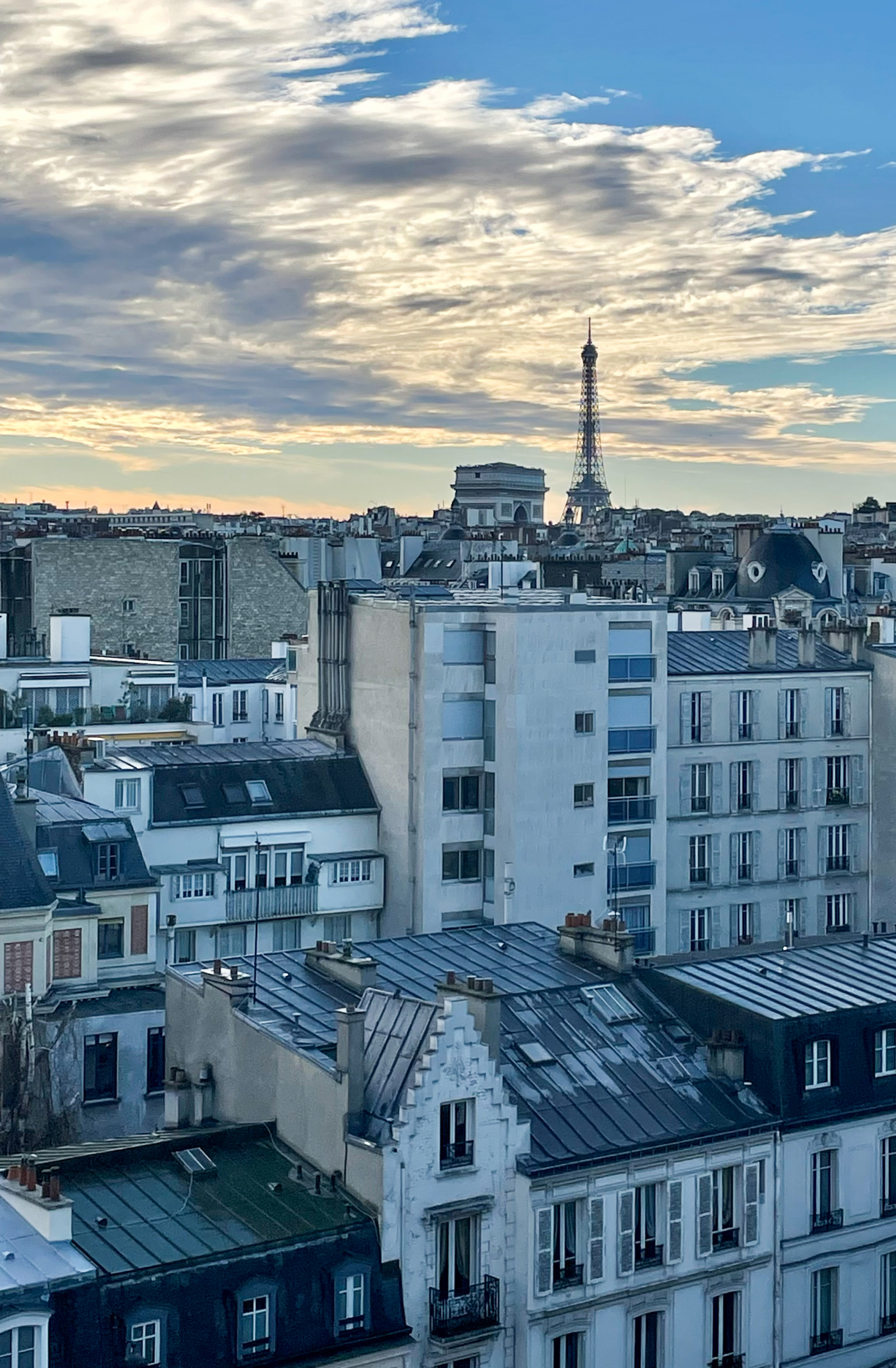 studio vue tour eiffel vendre